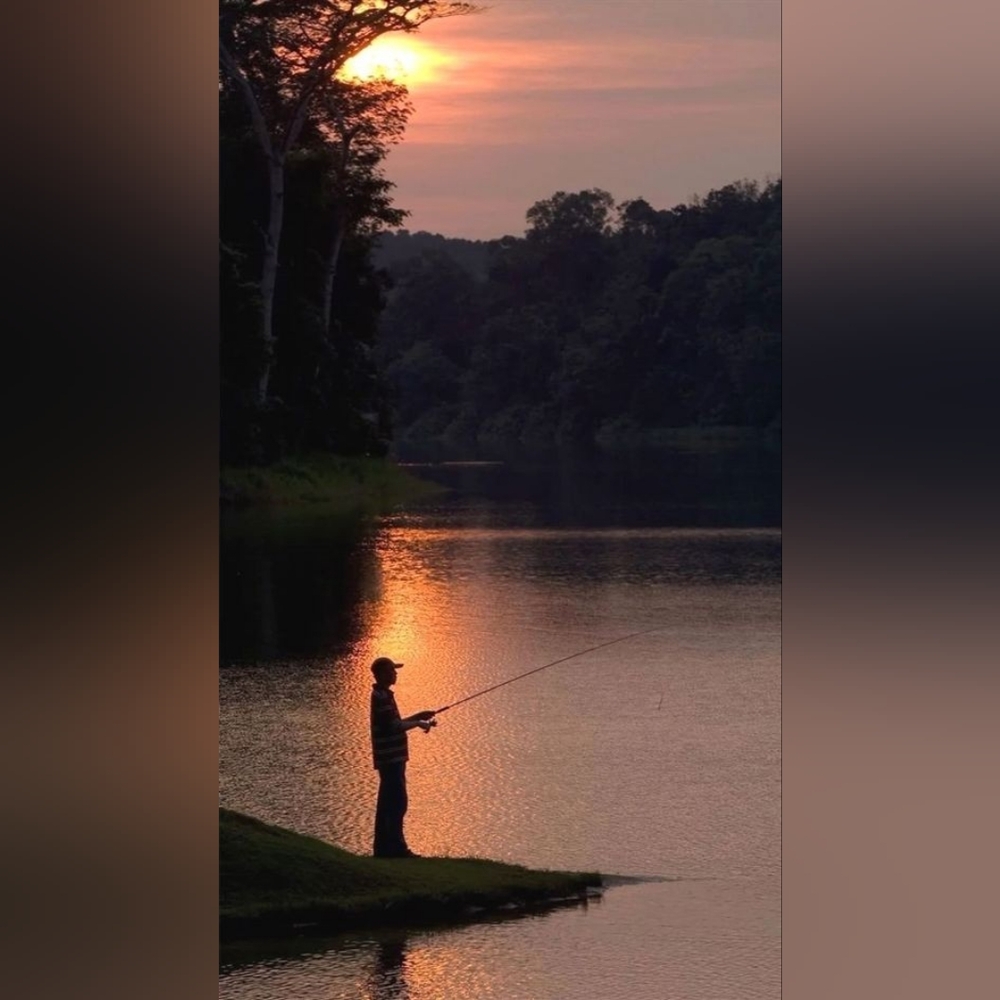 Joy of Fishing